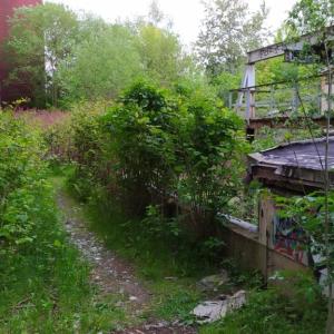 Gay Paar im Freien Sommer Sex Gay Paar im Freien Sommer Sex
