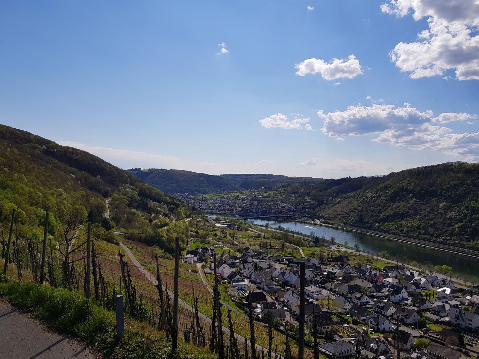 Single stammtisch koblenz